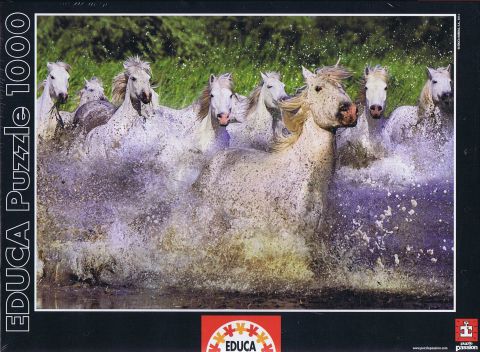 White Camargue Horses Cavalos - 1000 brikker (2)